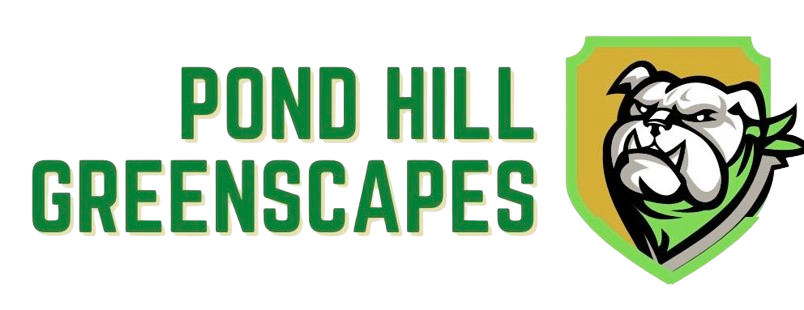 427761306 922759242441883 8935176835980058013 n removebg preview