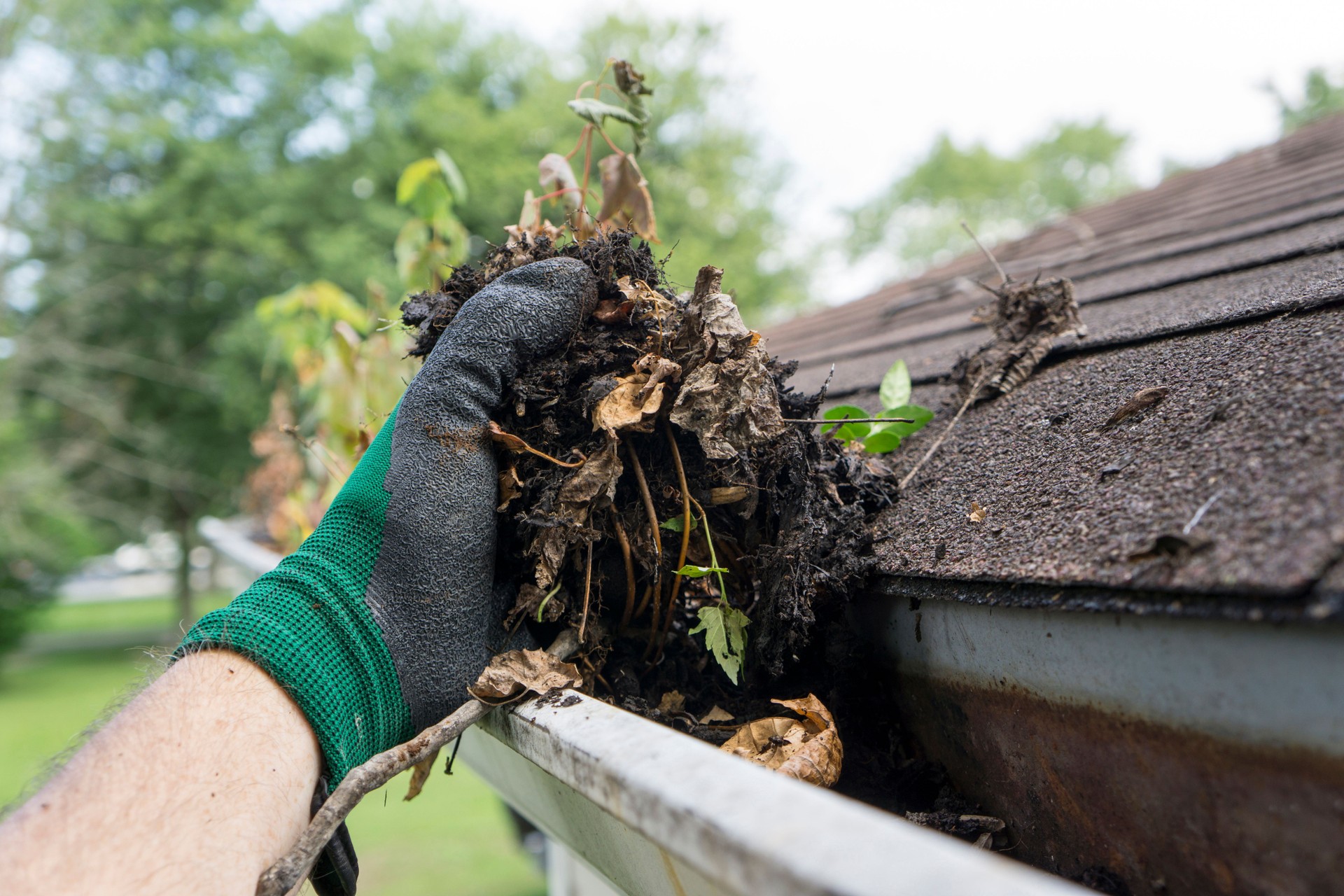 Seasonal services in Amesbury, MA by Pondhill Greenscapes, including yard cleanups, gutter cleaning, and snow removal.